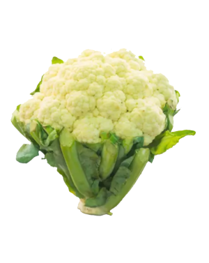 copy of Pack Mug + Framed...