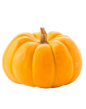 Mug The best is yet to come